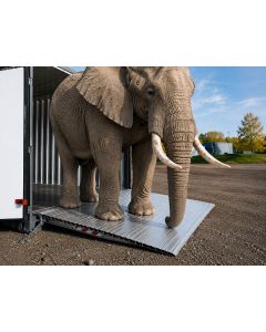 Auffahrrampe für Container - schwere Lasten - SHL1/100 - L 1.562 mm